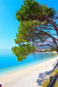 Apartman Nina - 3hvězdičkové hotely ve městě Gradac