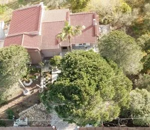 Castle's nest 2 - Andravída