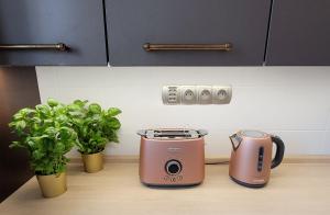 Apartament 155