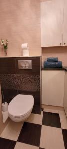 Apartament 15