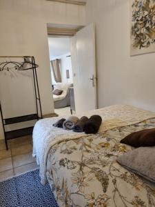 Maisons d'hotes Les Reves d'Eden Gite dans Mas Cevenol -SPA privatif : photos des chambres