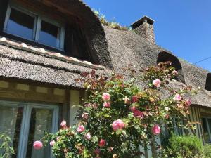 Maisons de vacances Chaumiere aux portes d'Honfleur : photos des chambres