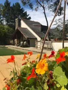 Pennans Cottage - Cubert