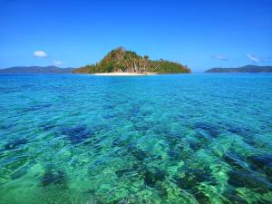 Castaway Native Huts