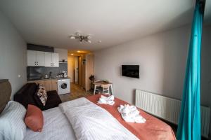 Loft 1 apartments in New Gudauri