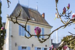 B&B / Chambres d'hotes Manoir de la Voute maison d'hotes : photos des chambres