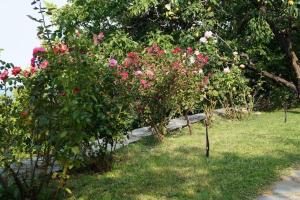 Villa Katia with Sea view, Pourion, Zagora