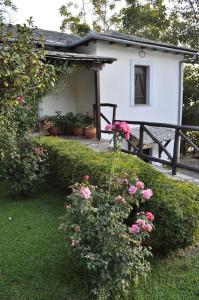 Villa Katia with Sea view, Pourion, Zagora