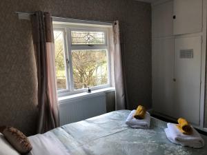 3 Bed House - Sleeps 6 - Parking - Garden - WIfi