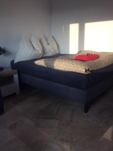 mika rooms Wislicka 3