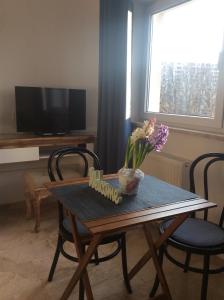 mika rooms Wislicka 3 Studio Adults Only