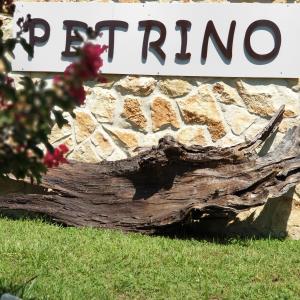 Petrino Studios
