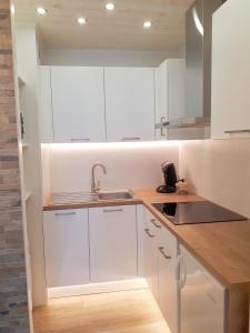 Appartements Magnifique Studio Face Mer avec Place Privative. : photos des chambres