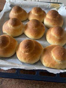 La Casa del Limoneto