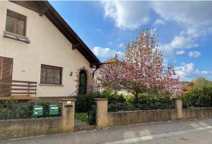 Appartements Villa Schmitt : photos des chambres