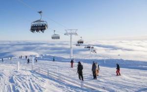 Nice apartment with Sauna and ski in out Trysil