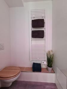 Appartements Le raffine-parking prive-proche frontiere Bale : photos des chambres