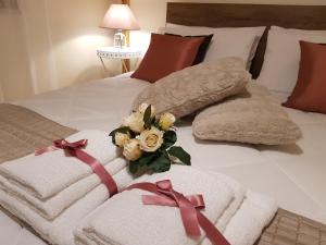 Grace dellisola dei Coralli