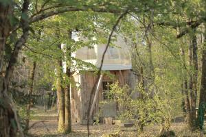 Maisons de vacances O Bois Dormant : photos des chambres