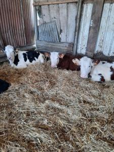 Sejours a la ferme ferme pedagogique des pennetieres : photos des chambres