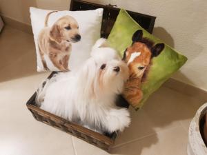 Grace dell'isola dei Coralli img65