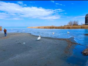 Relax Apartman Siófok-Sóstó