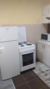 Apartman nidzo