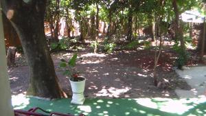 Alojamiento El Bosque