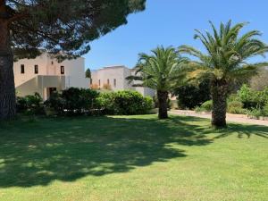 Appartements Bel appartement idealement situe en Haute Corse : photos des chambres