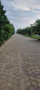 Dreamland Oasis Chakvi