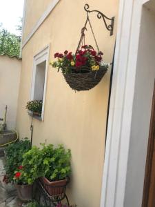 Affittacamere Is Coronas img5