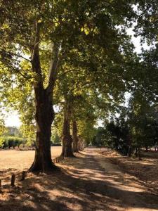 Maisons de vacances Historic French townhouse : photos des chambres