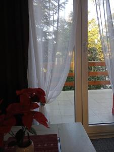 Apartmani Trio sa terasom