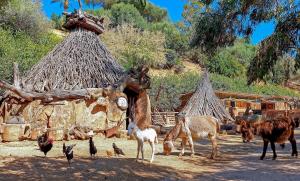 Arbatax Park Resort - Telis img30