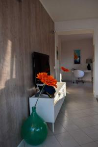 NOVIGRAD BOUTIQUE APARTMENT