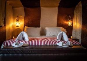 Bivouac de luxe Mhamid
