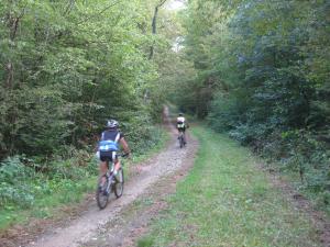 Campings Camping Porte des Vosges : photos des chambres