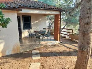 Gavza Joy - فالون