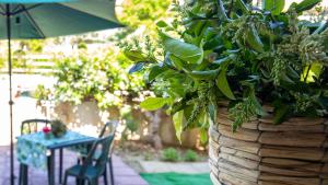 Lemon tree apartment Alghero img17