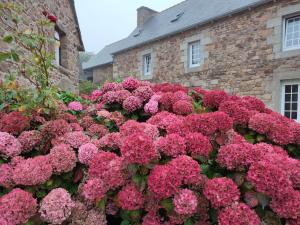 B&B / Chambres d'hotes Cornec : photos des chambres