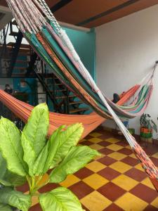 Havana Dance School & Hostel