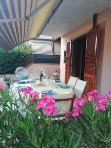 sole mare versilia - Cinquale