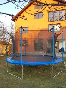 Vila Sanne Brașov , Hălchiu