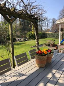 Woning tussen bos en water