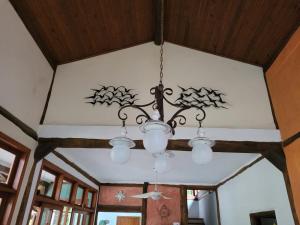 Casa da árvore em Paúba .