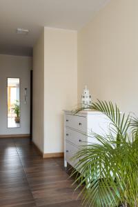 Apartment with Balcony room in Apartamenty Maestro