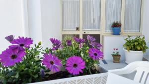 La Casa più Bella