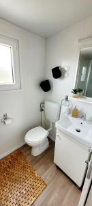 Mobilehome Elena Premium with Pool, Istria