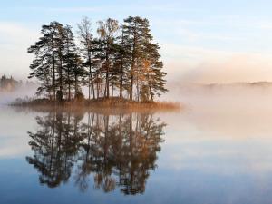 Historic Cottage by Lake Yngern