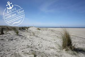 Moin am Deich - Deich 13 C 61